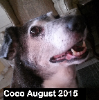 Coco Heckman 8.2015